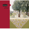 Tovaglie monouso per ristoranti 100x100