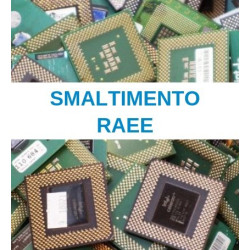 smaltimento raee