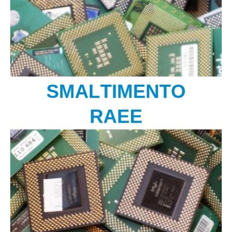 smaltimento raee