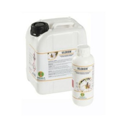 Veloxidin - Orma Torino