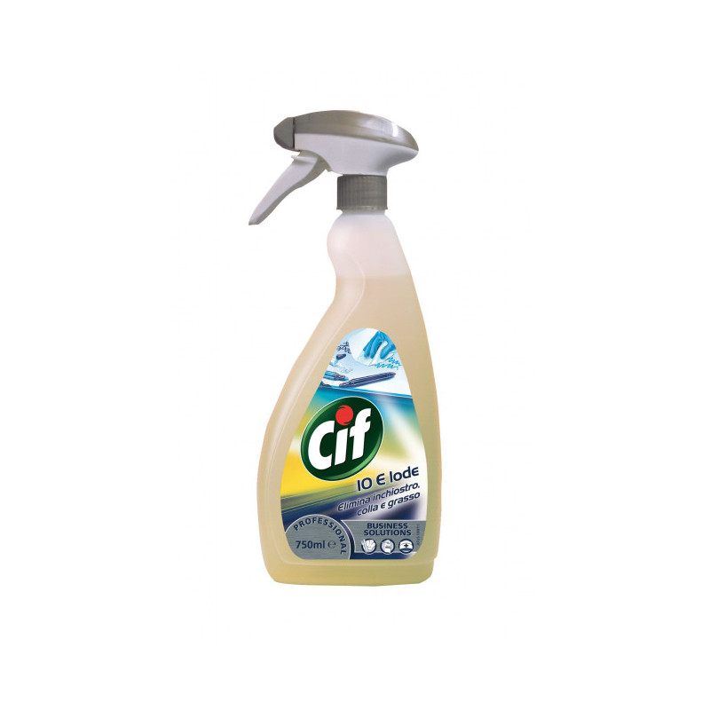 CIF 10 e Lode Professionale