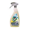 CIF 10 e Lode Professionale