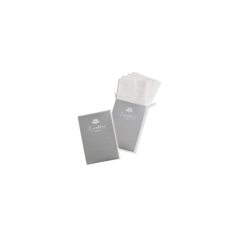 Fazzolettini Lotho (pz 5) conf. 100 Pz