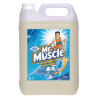 Mr Muscle Brillantante per Lavastoviglie