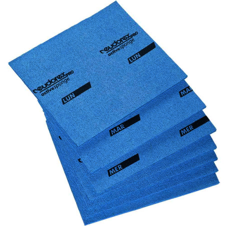 Active Sponge DS 4 pz