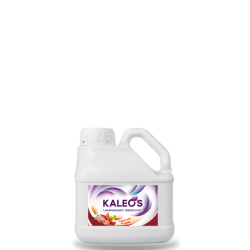 DETERGENTE PER PAVIMENTI AL PROFUMO DI CAIPIROSKA LT 3 - LINEA KALEOS