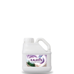 DETERGENTE PER PAVIMENTI AL PROFUMO DI ABETE ROSSO LT 3 - LINEA KALEOS