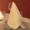 Tovagliolo in Airlaid DECORI PLUS   40X40 - 800 pezzi