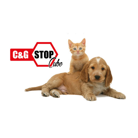 c-e-g-stop-cube