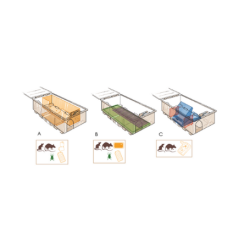 Nuova Masterbox Plus