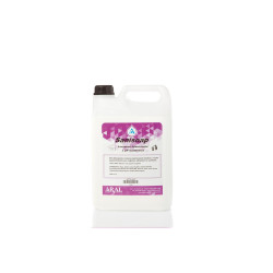 LAVAMANI SANI SOAP KG 5 SAPONE MANI HACCP CON RISCIACQUO INODORE