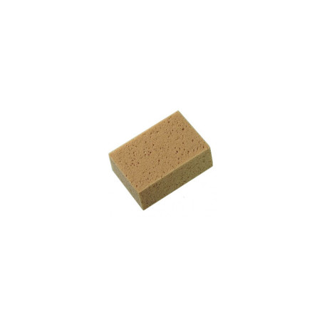SPUGNA AUTO CM 16X11X7