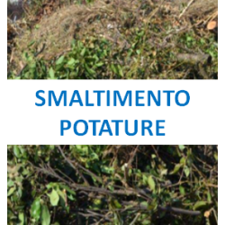 Smaltimento potature- Chiedi un Preventivo