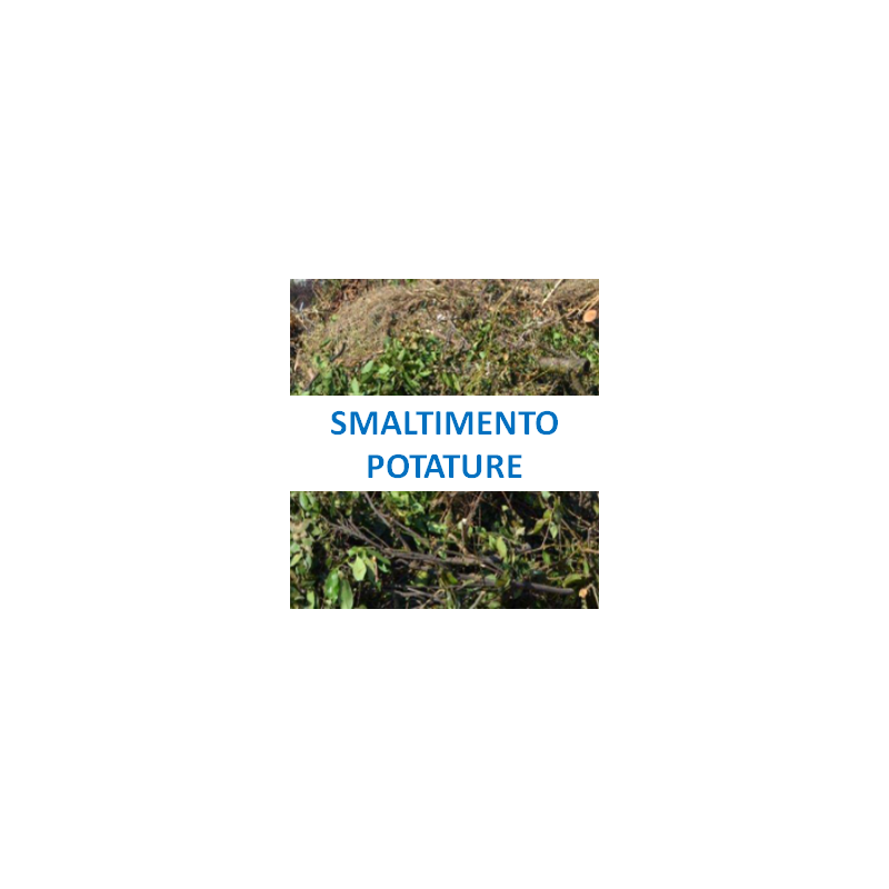 Smaltimento potature- Chiedi un Preventivo