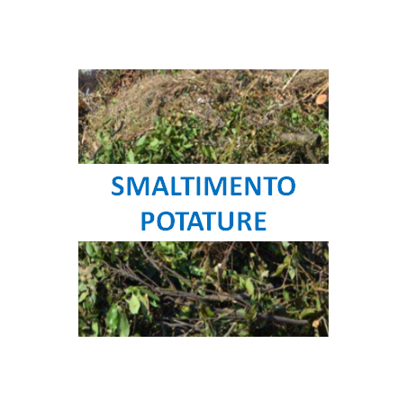Smaltimento potature- Chiedi un Preventivo