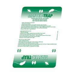 Master Trap Ratti