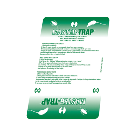 Master Trap Ratti
