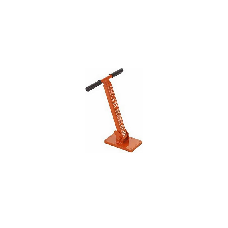 Alzachiusini CL10 - Orma