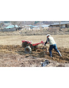Motozappe Vendita Online - Giardinaggio 