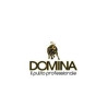 Domina rivenditore di prodotti per le pulizie